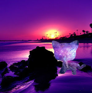 Meet your Posher, Lps